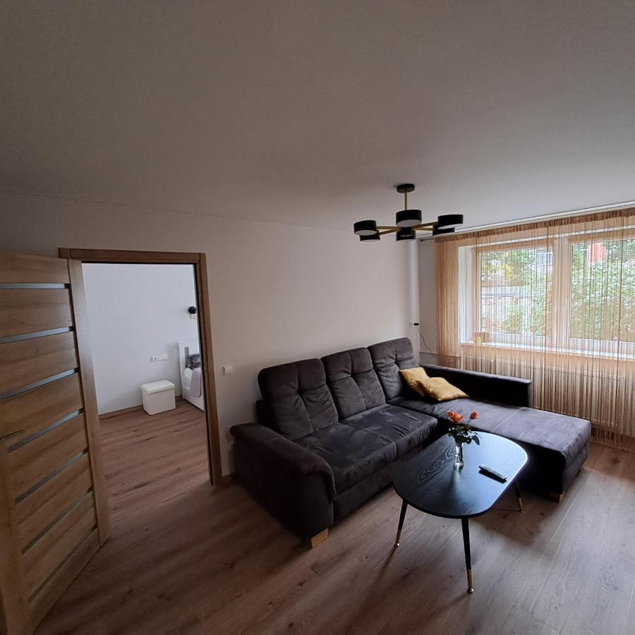 Vytes Apartamentai 카우나스 외부 사진